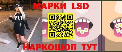 мяу мяу мука Дубна